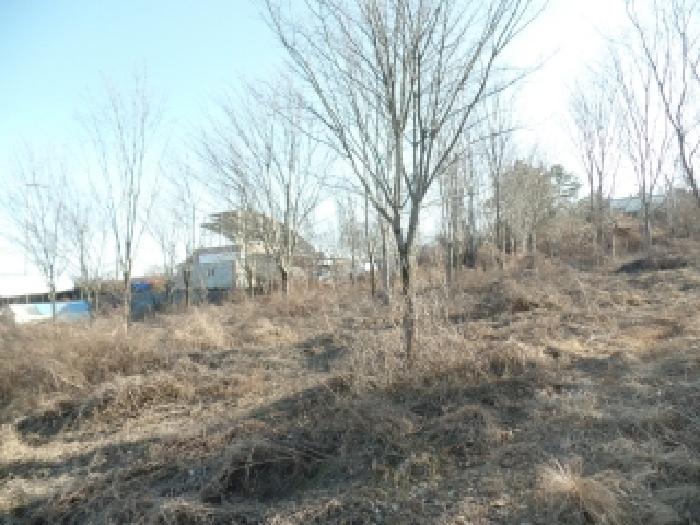 충남 논산시 부적면 전 경매 물건 사진