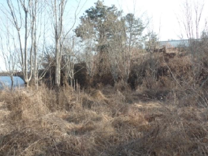충남 논산시 부적면 전 경매 물건 사진 2 · 2025타경487