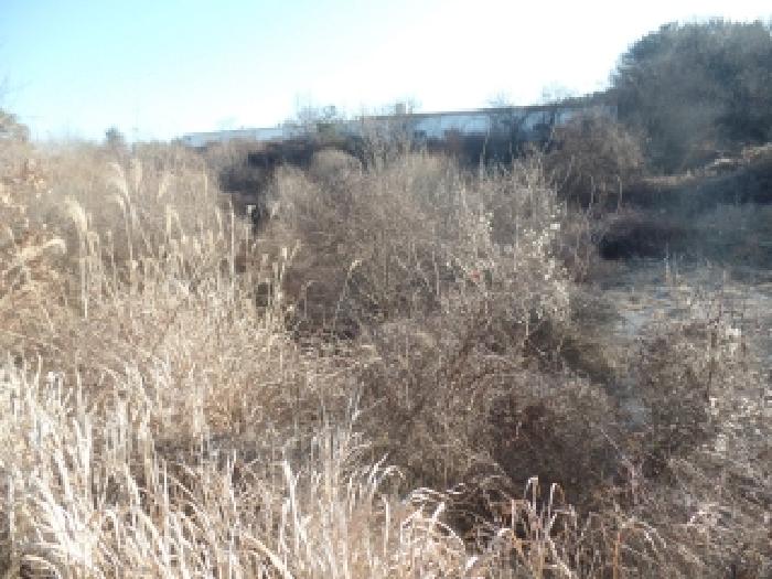 충남 논산시 부적면 전 경매 물건 사진 3 · 2025타경487