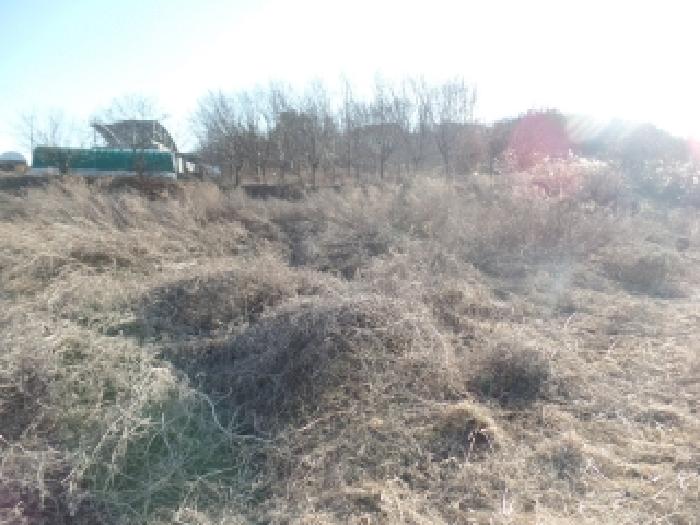 충남 논산시 부적면 전 경매 물건 사진 5 · 2025타경487