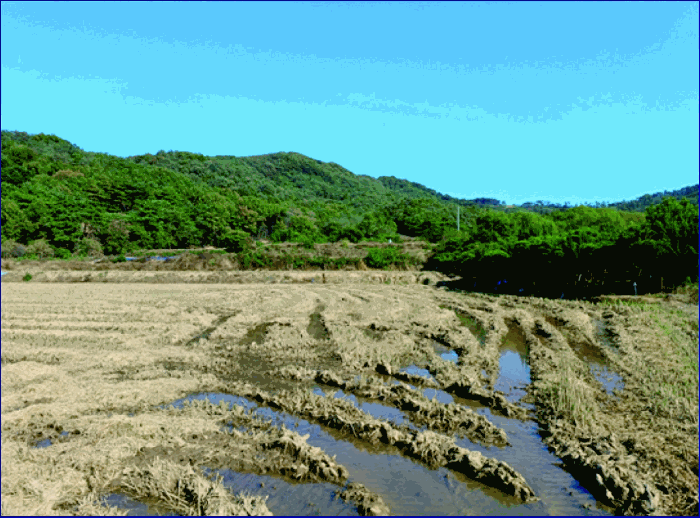 충남 논산시 상월면 전답 경매 물건 사진 6 · 2025타경490