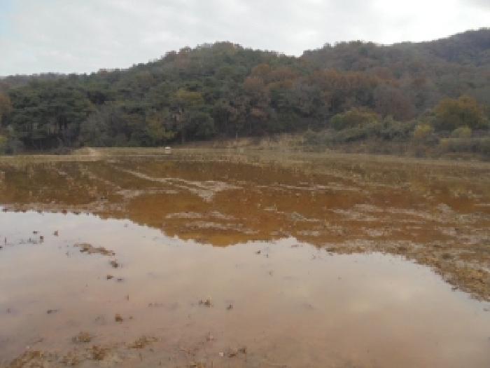 충남 논산시 상월면 전답 경매 물건 사진 2 · 2025타경490