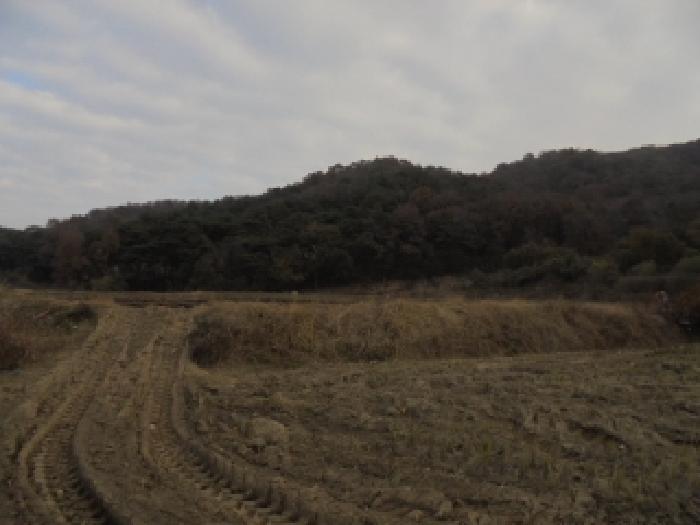 충남 논산시 상월면 전답 경매 물건 사진 3 · 2025타경490