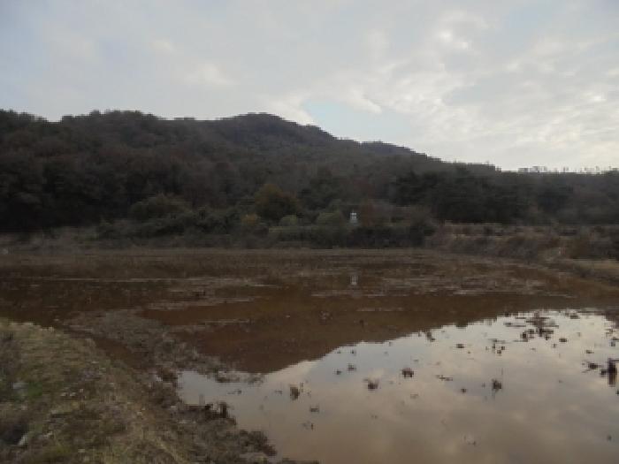 충남 논산시 상월면 전답 경매 물건 사진