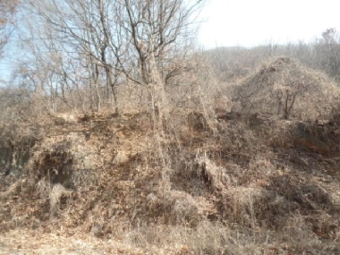 충남 논산시 연산면 임야 경매 물건 사진 3 · 2025타경505