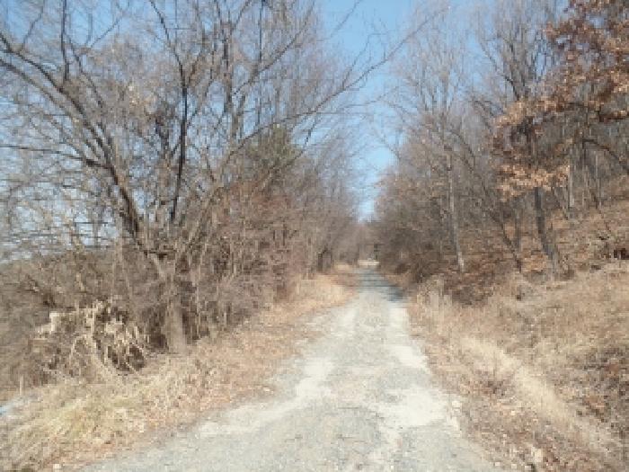 충남 논산시 연산면 임야 경매 물건 사진 2 · 2025타경505