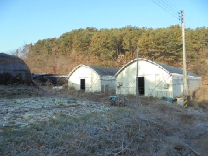 충남 부여군 은산면 전답 경매 물건 사진 2 · 2025타경506