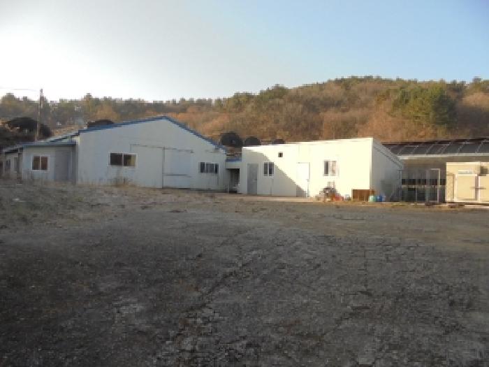 충남 부여군 은산면 전답 경매 물건 사진 3 · 2025타경506
