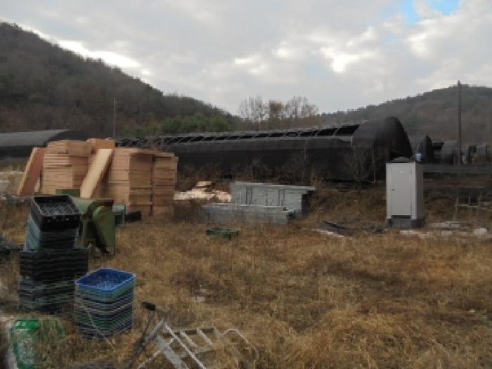 충남 부여군 은산면 전답 경매 물건 사진 6 · 2025타경506