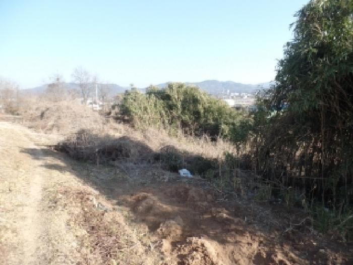 충남 논산시 연무읍 대지,임야,전답 경매 물건 사진 4 · 2025타경508