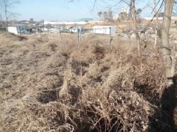 충남 논산시 연무읍 대지,임야,전답 경매 물건 사진 6 · 2025타경508