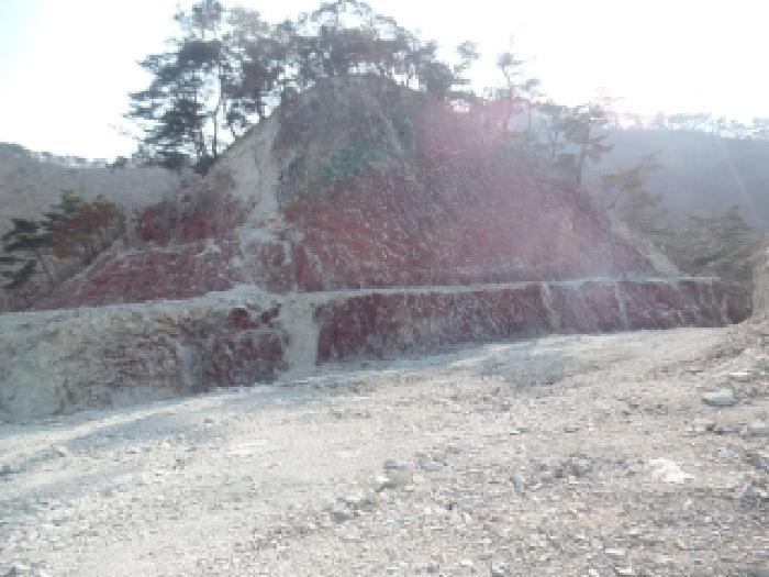 충남 논산시 벌곡면 임야 경매 물건 사진 4 · 2025타경511