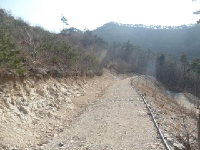 충남 논산시 벌곡면 임야 경매 물건 사진 5 · 2025타경511