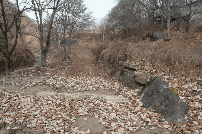 충남 논산시 양촌면 전답 경매 물건 사진 5 · 2025타경514