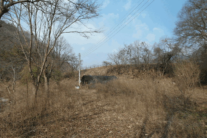 충남 논산시 양촌면 전답 경매 물건 사진 6 · 2025타경514