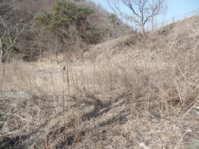 충남 논산시 양촌면 전답 경매 물건 사진 4 · 2025타경514