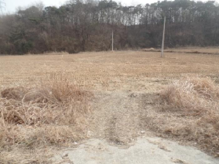 충남 논산시 연산면 단독주택 경매 물건 사진 2 · 2025타경515