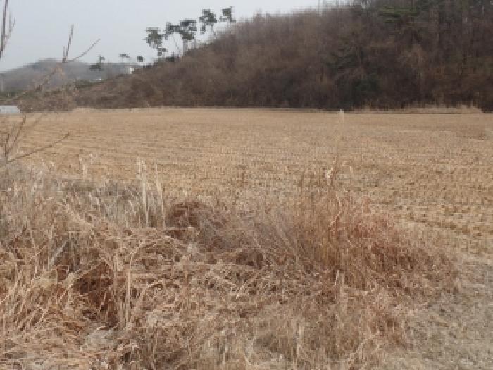 충남 논산시 연산면 단독주택 경매 물건 사진 6 · 2025타경515