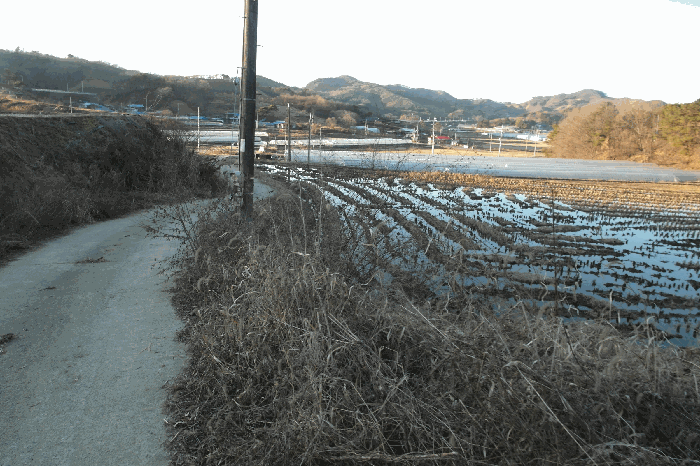 충남 부여군 은산면 임야 경매 물건 사진 5 · 2025타경516