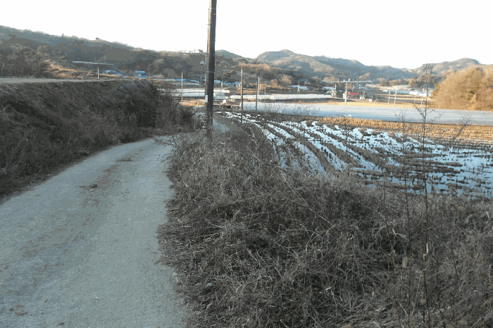 충남 부여군 은산면 임야 경매 물건 사진 6 · 2025타경516