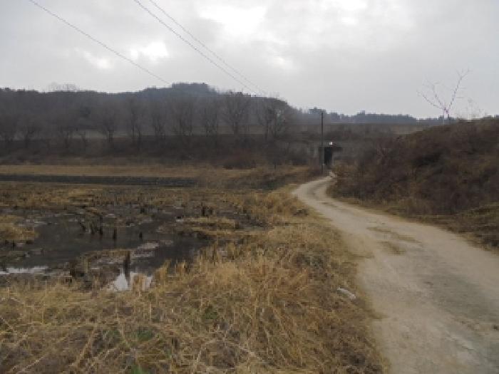 충남 부여군 은산면 임야 경매 물건 사진