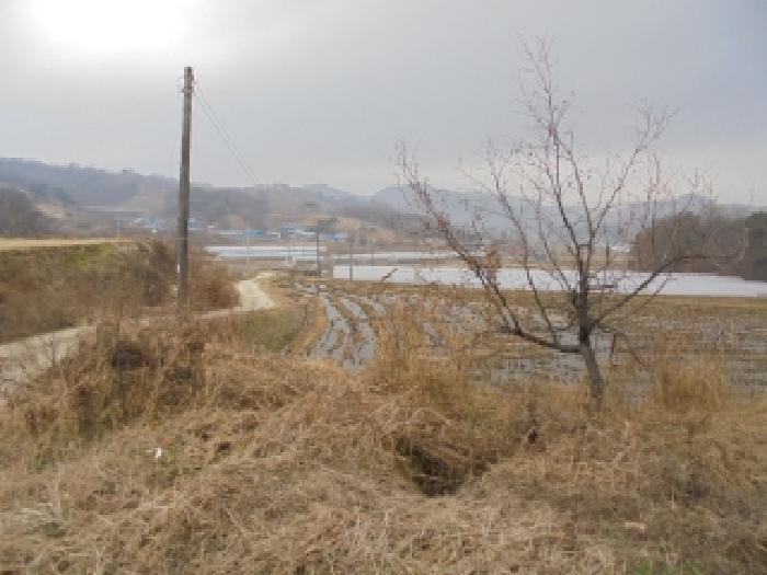 충남 부여군 은산면 임야 경매 물건 사진 2 · 2025타경516