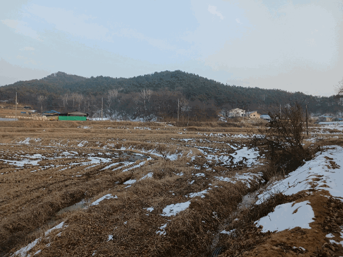 충남 부여군 부여읍 전답 경매 물건 사진 5 · 2026타경11