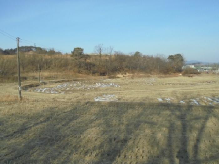 충남 부여군 부여읍 전답 경매 물건 사진