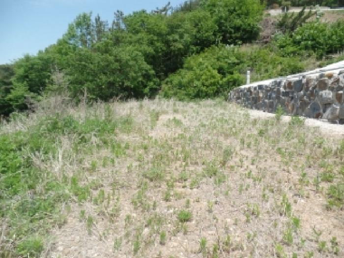 충남 논산시 벌곡면 전답 경매 물건 사진 2 · 2026타경15