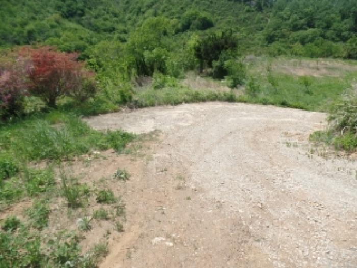 충남 논산시 벌곡면 전답 경매 물건 사진 5 · 2026타경15