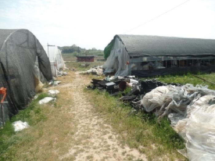 충남 논산시 은진면 전답 경매 물건 사진 5 · 2026타경18
