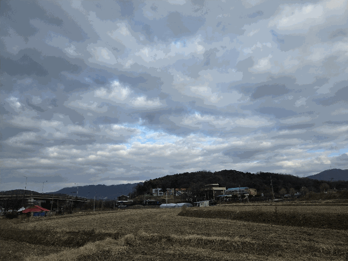 충남 논산시 연산면 답 경매 물건 사진 6 · 2026타경20000