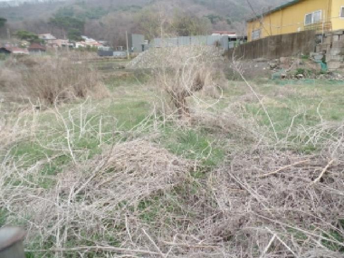 충남 논산시 연산면 답 경매 물건 사진