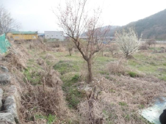 충남 논산시 연산면 답 경매 물건 사진 2 · 2026타경20018