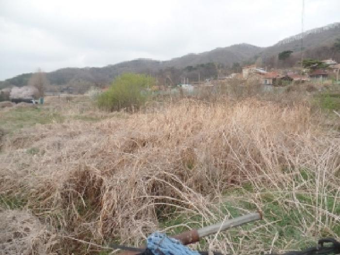 충남 논산시 연산면 답 경매 물건 사진 5 · 2026타경20018