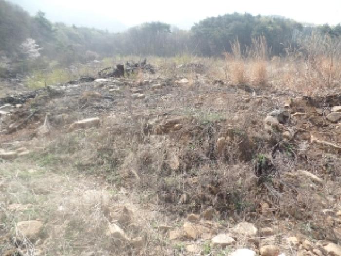 충남 논산시 벌곡면 임야 경매 물건 사진 4 · 2026타경20023