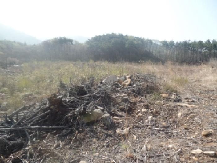 충남 논산시 벌곡면 임야 경매 물건 사진 5 · 2026타경20023