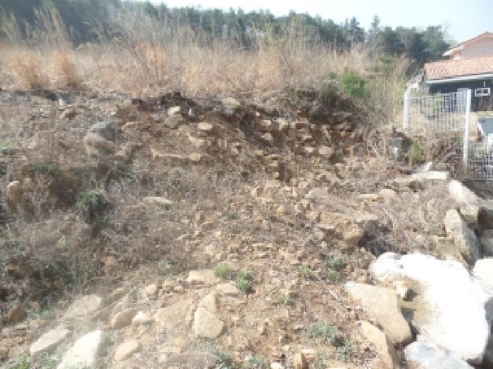 충남 논산시 벌곡면 임야 경매 물건 사진
