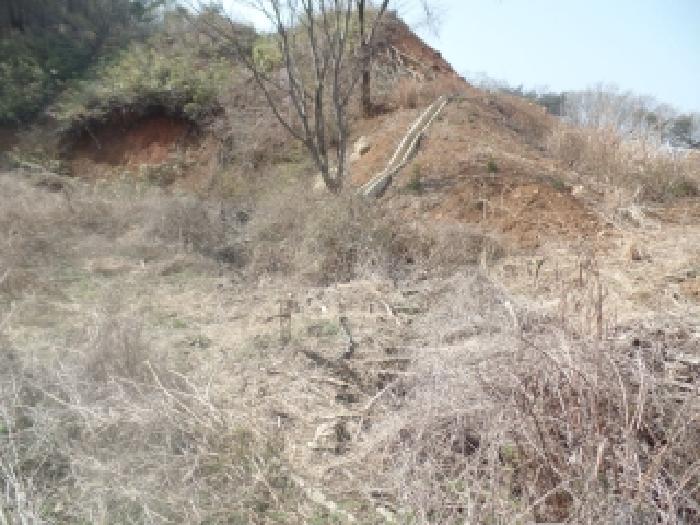 충남 논산시 벌곡면 임야 경매 물건 사진 2 · 2026타경20023