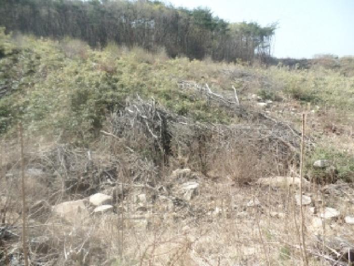 충남 논산시 벌곡면 임야 경매 물건 사진 3 · 2026타경20023