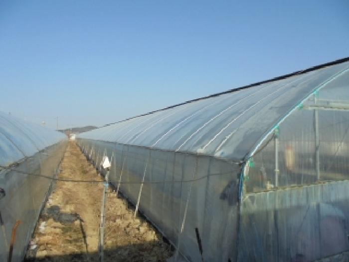 충남 논산시 상월면 전답 경매 물건 사진 3 · 2026타경20024
