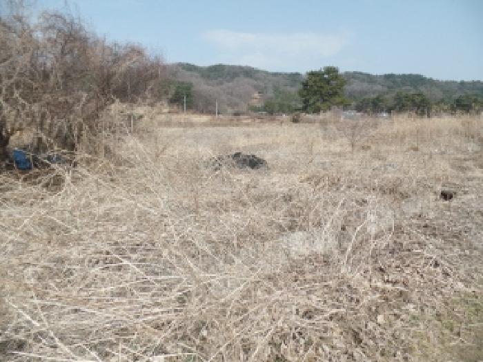 충남 논산시 연산면 전답 경매 물건 사진