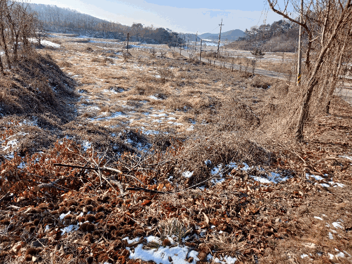 충남 논산시 노성면 전답 경매 물건 사진 5 · 2026타경20029