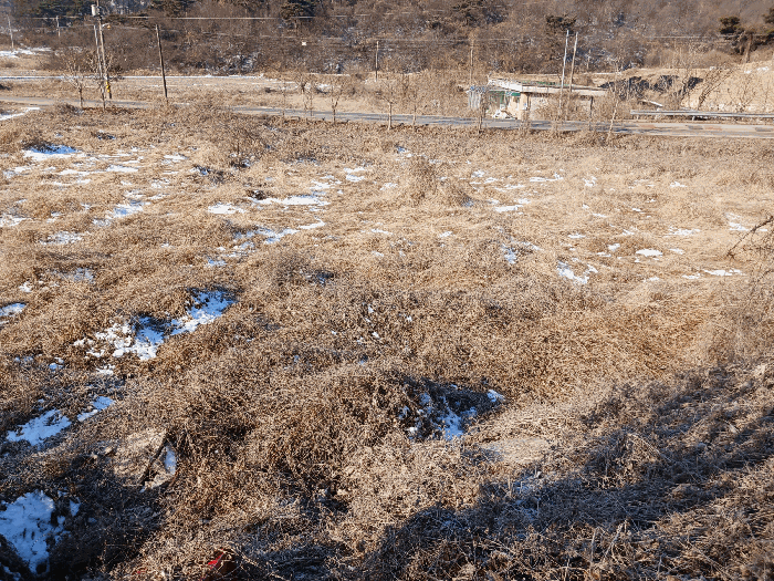 충남 논산시 노성면 전답 경매 물건 사진 6 · 2026타경20029