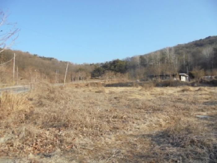 충남 논산시 노성면 전답 경매 물건 사진