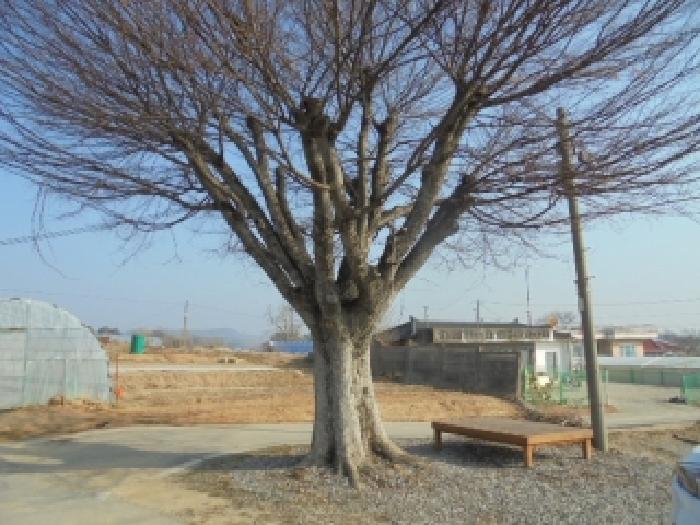 충남 부여군 규암면 전답 경매 물건 사진 3 · 2026타경20035