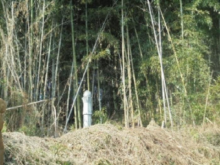 충남 논산시 성동면 임야 경매 물건 사진 5 · 2026타경20039
