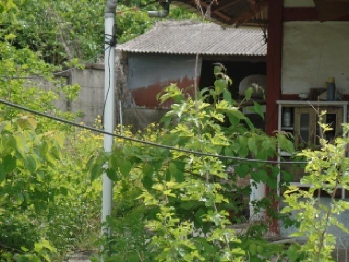 충남 논산시 강경읍 대지 경매 물건 사진 2 · 2026타경20045