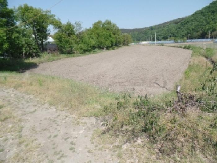 충남 논산시 양촌면 전답 경매 물건 사진 2 · 2026타경20076