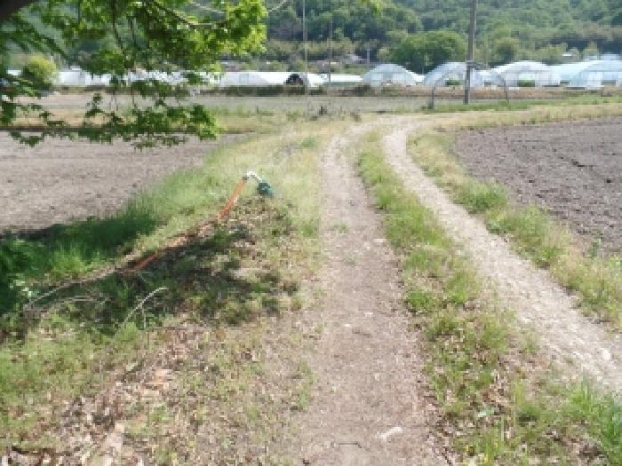 충남 논산시 양촌면 전답 경매 물건 사진 5 · 2026타경20076